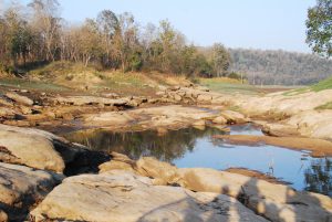 tijger safari India